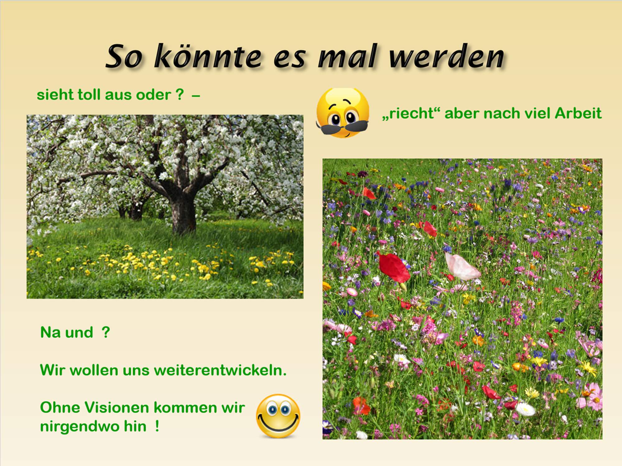 Fischerwiese – Übersicht
