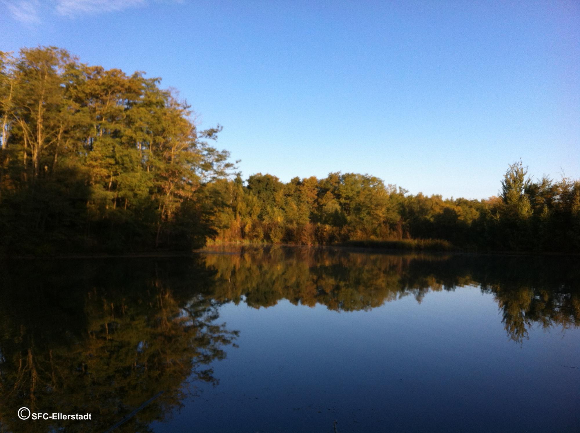 Weiher im Heidewald