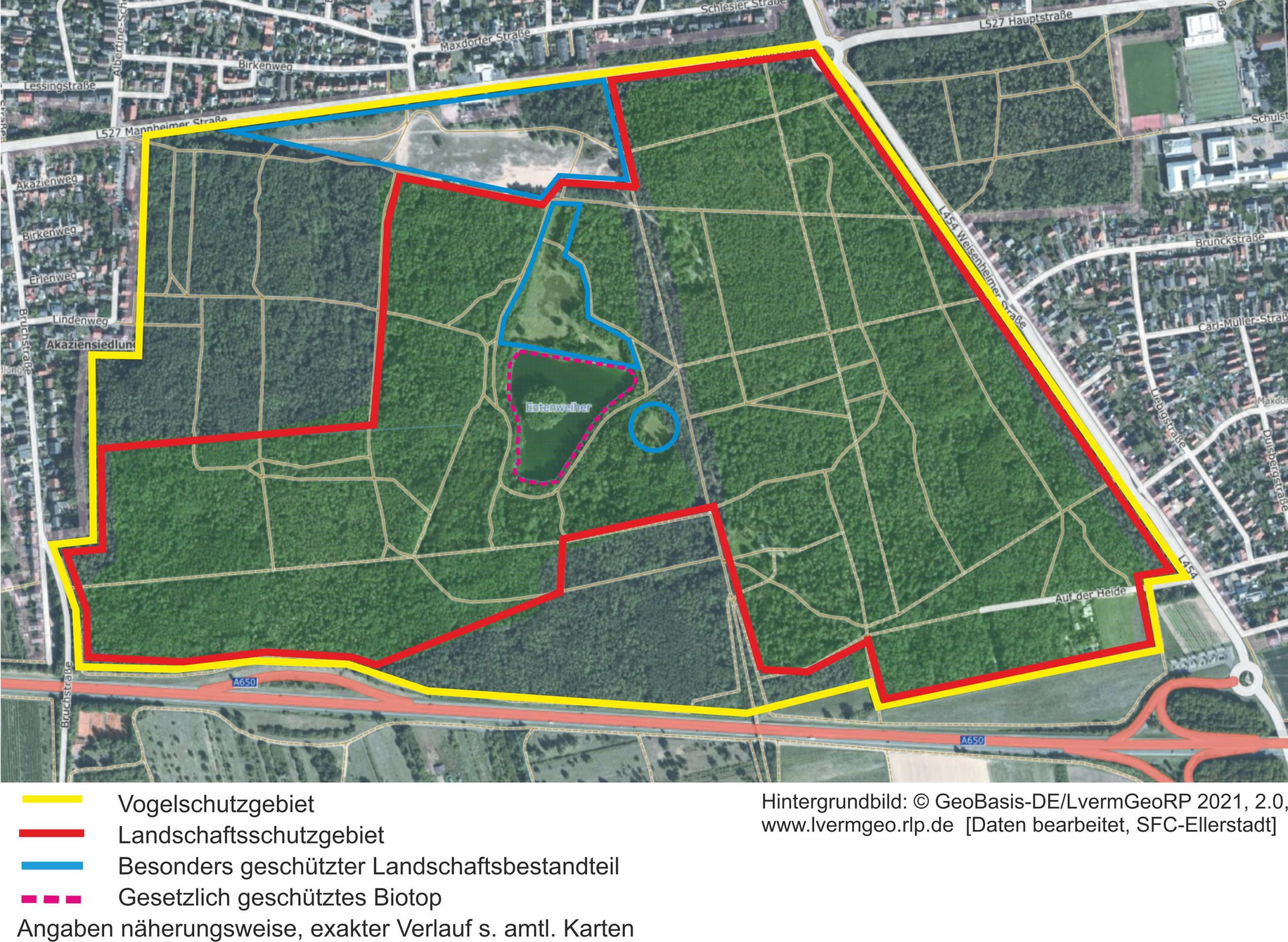 Ellerstadter Weiher